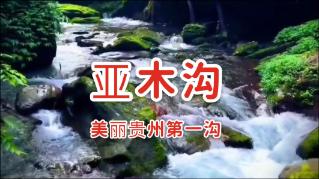 蓝狐视频